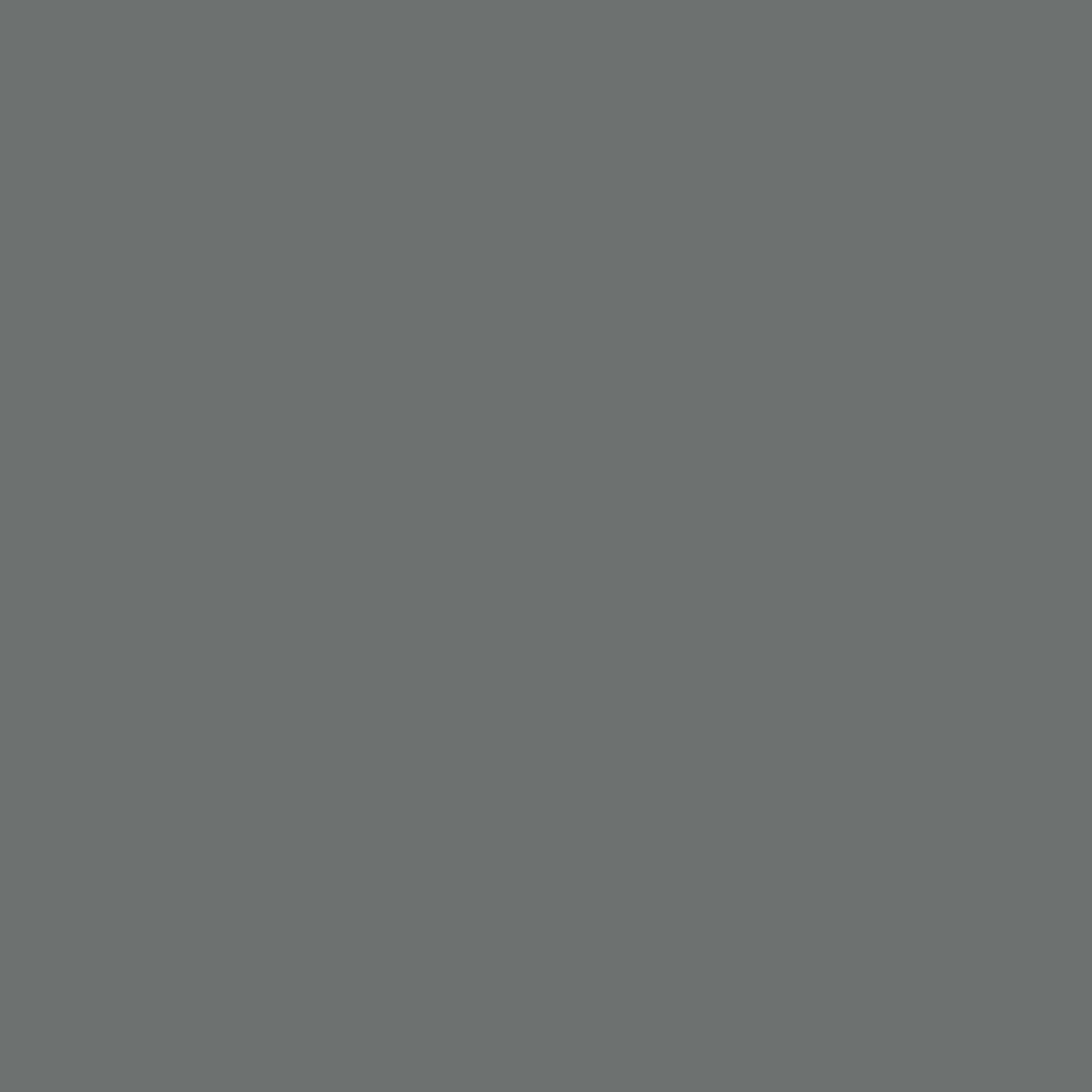 Schuppenpanzer Unigrund P 750 ml-2 Schuppenpanzer Unigrund P 750 ml-2