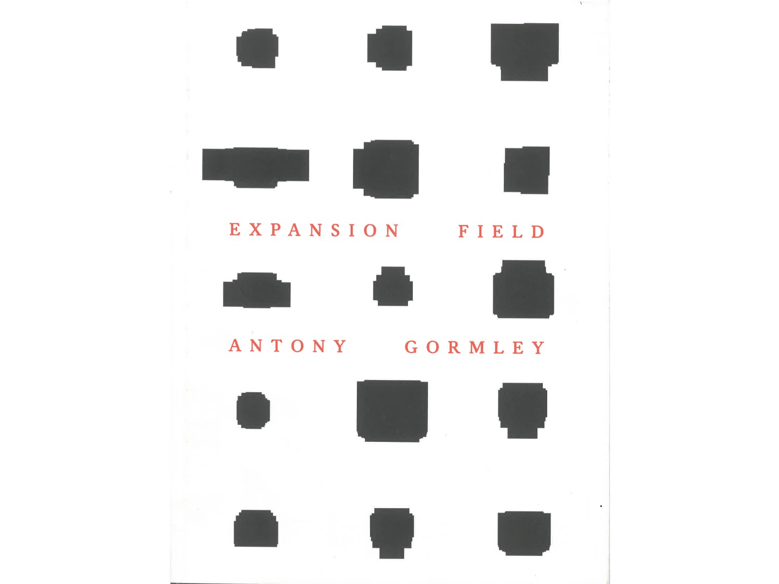 Expansion Field Antony Gormley-1