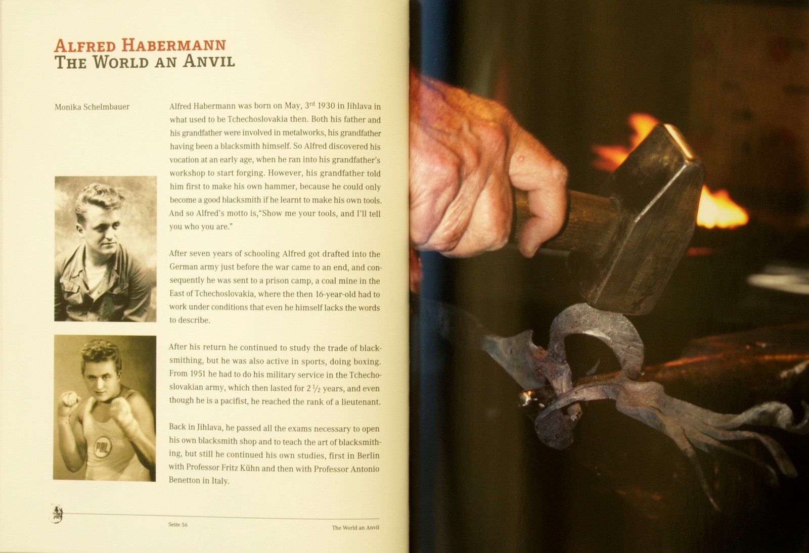 Die Welt ein Amboss-6