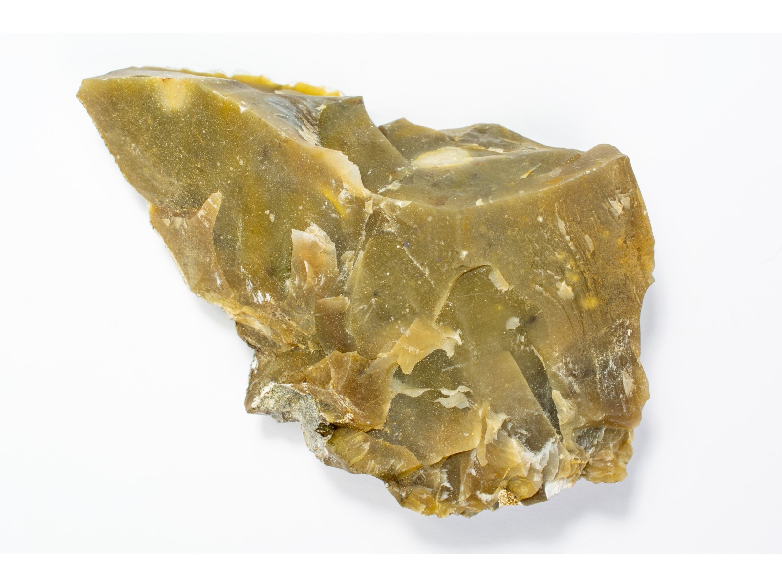 (BLOB)silex-1