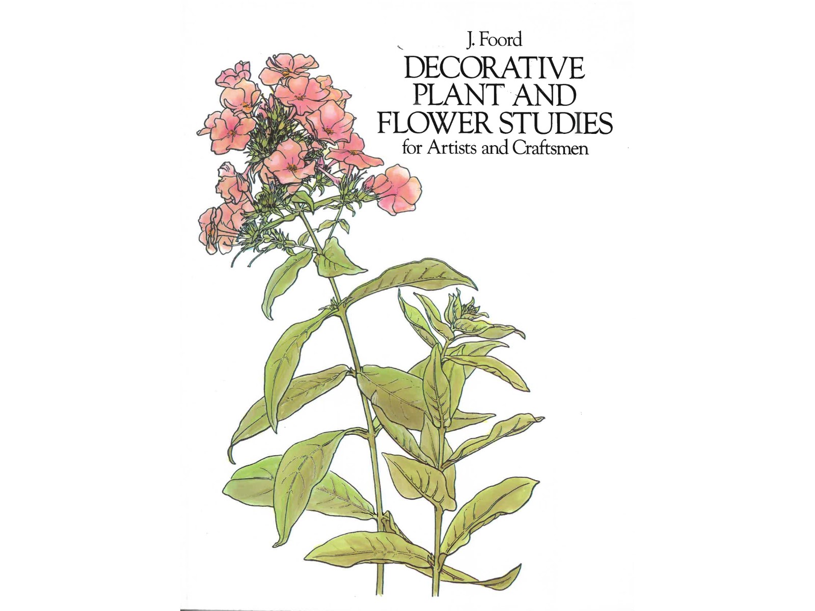 Decorative Plant and Flower Studies-1