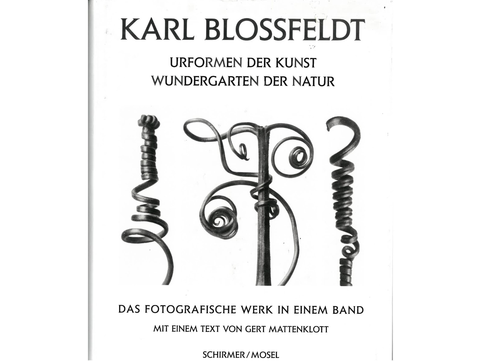 Urformen der Kunst - Wundergarten der Natur-1