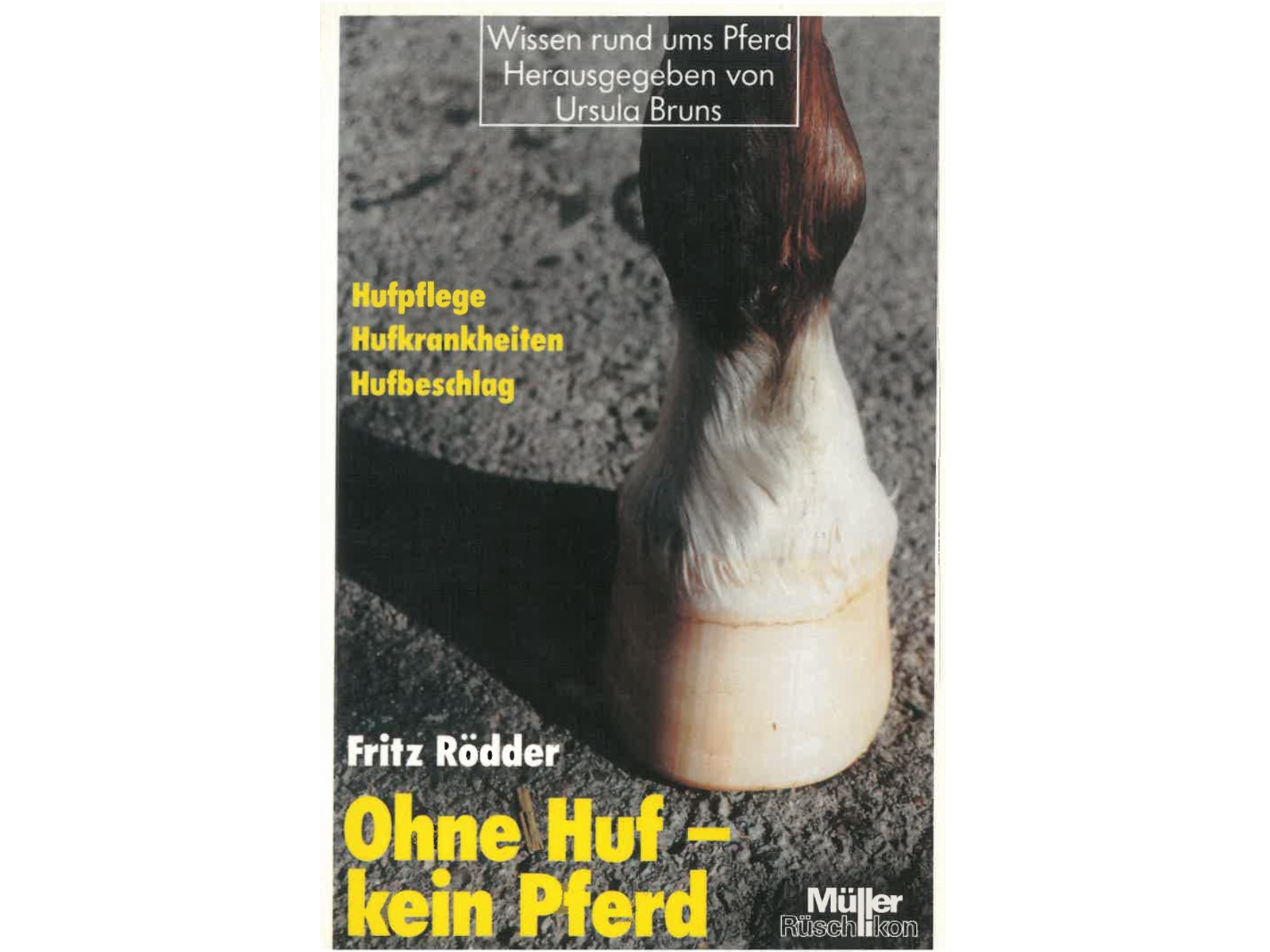 Ohne Huf - kein Pferd-1