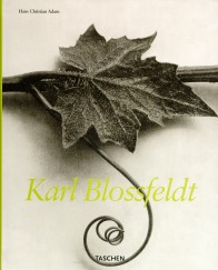 Karl Blossfeldt 1865-1932-2