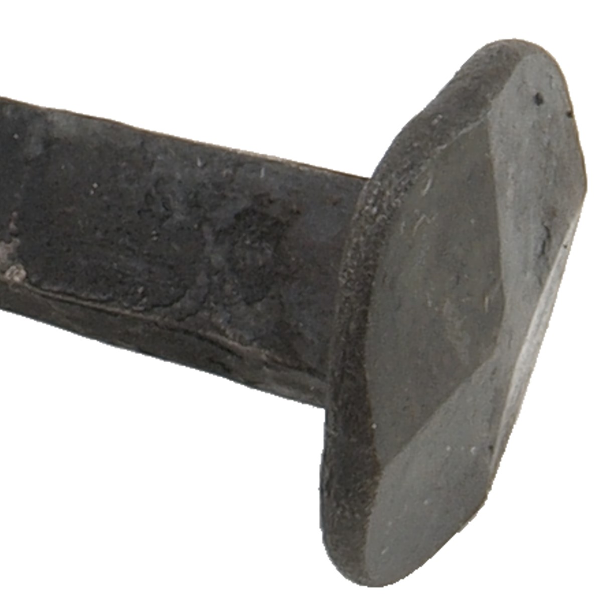 (BLOB)Handforged nail-1 (BLOB)Handforged nail-1