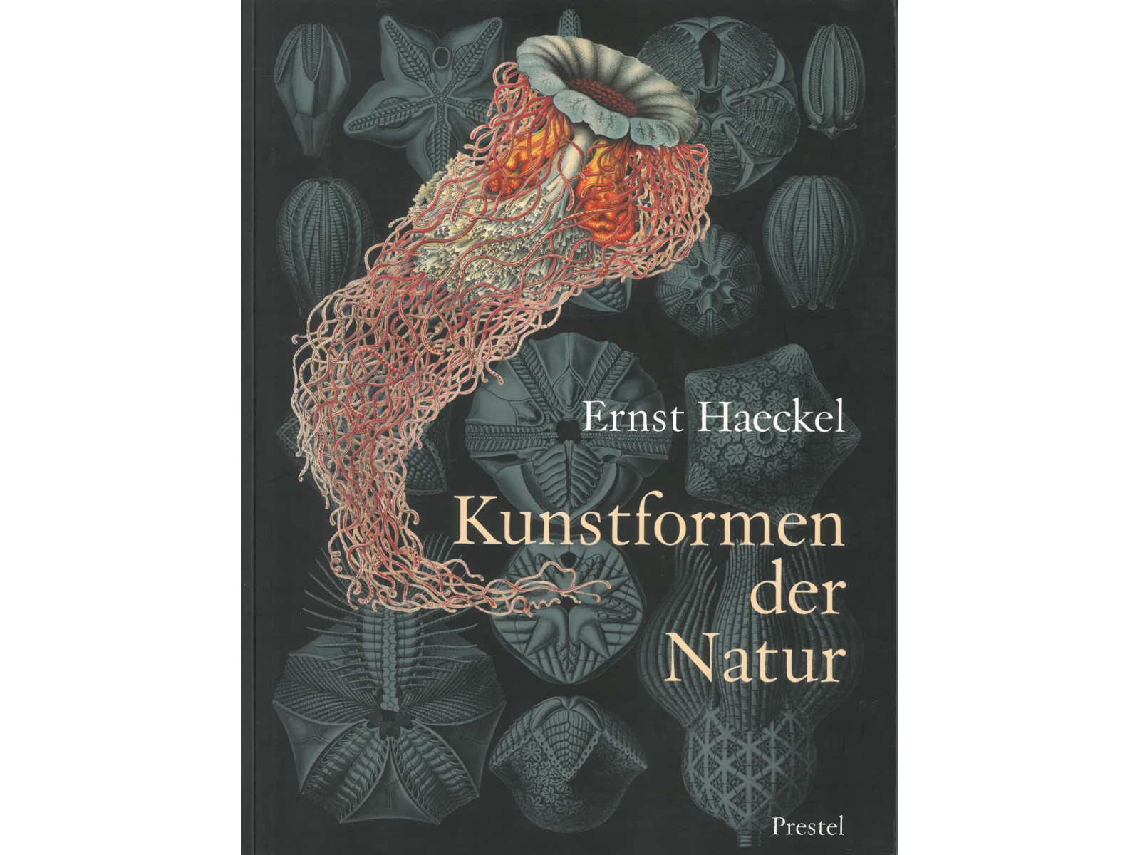 Kunstformen der Natur-1