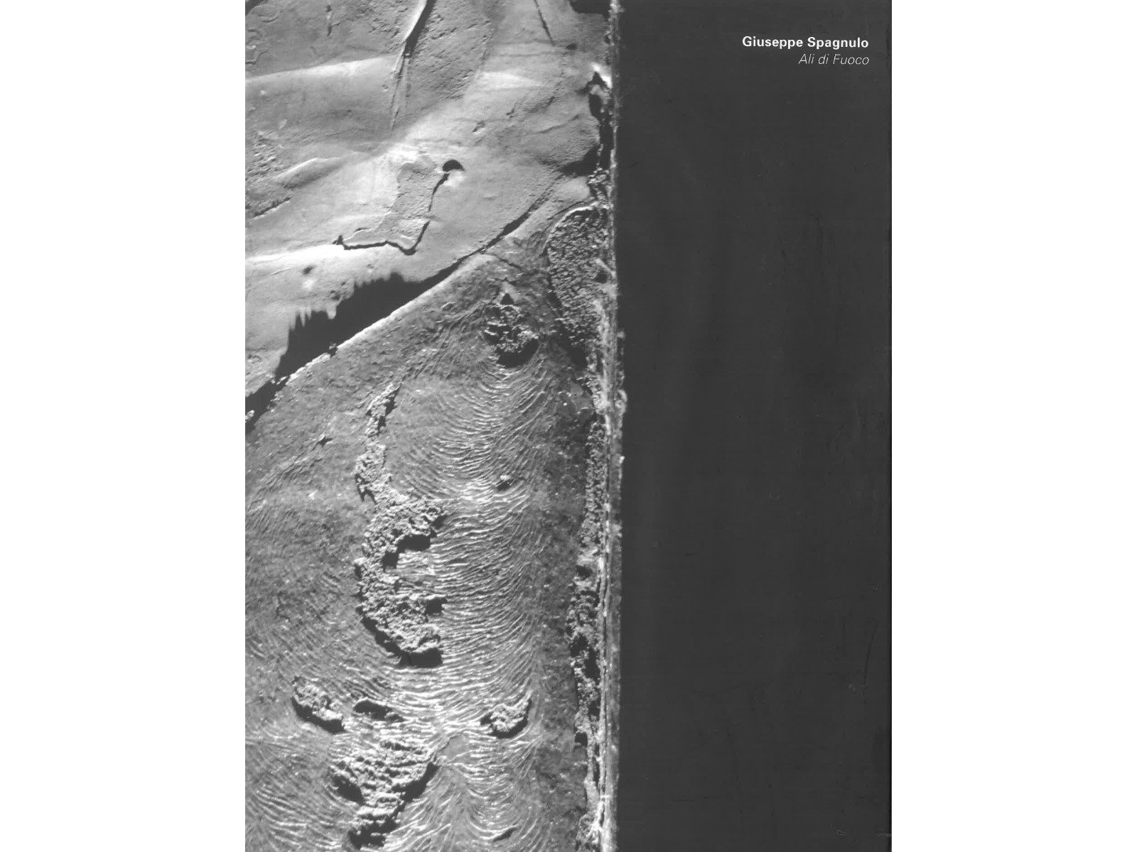 Giuseppe Spagnulo - Ali di Fuoco-1