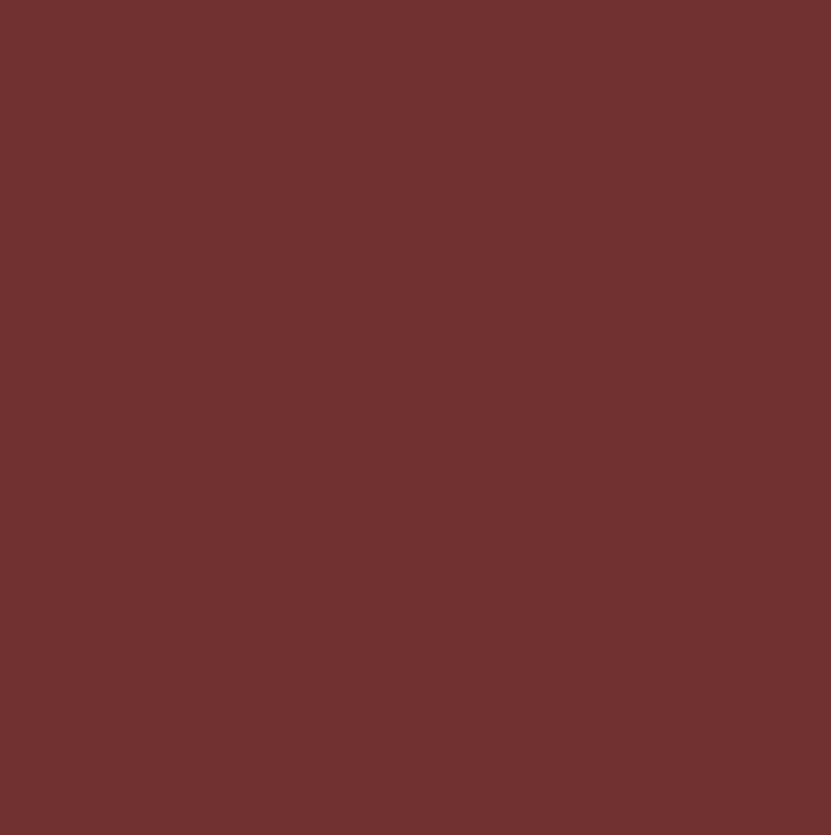 (BLOB)peinture Schuppenpanzer P rouge cuprique 750 ml-2 (BLOB)peinture Schuppenpanzer P rouge cuprique 750 ml-2