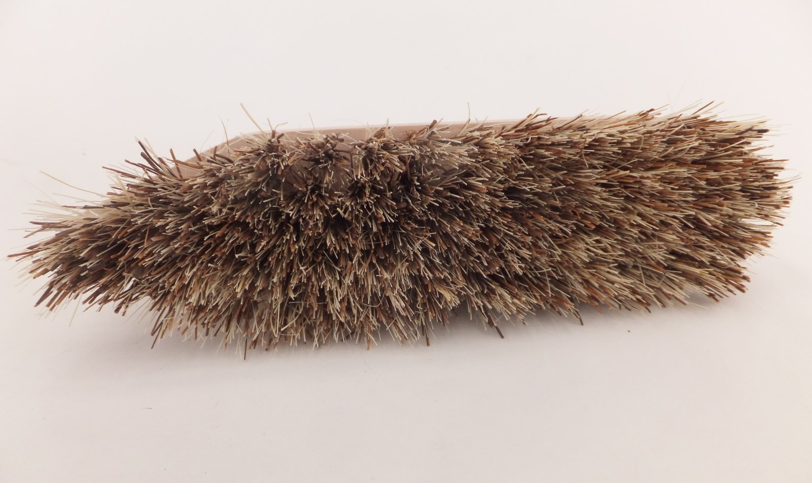 (BLOB)coarse scrubbing brush-2 (BLOB)coarse scrubbing brush-2