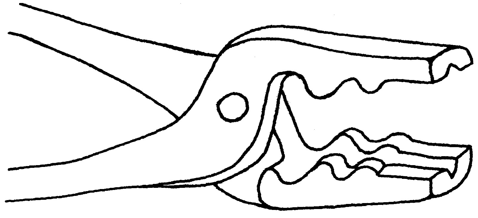(BLOB)Pince gueule de loup-1 (BLOB)Pince gueule de loup-1