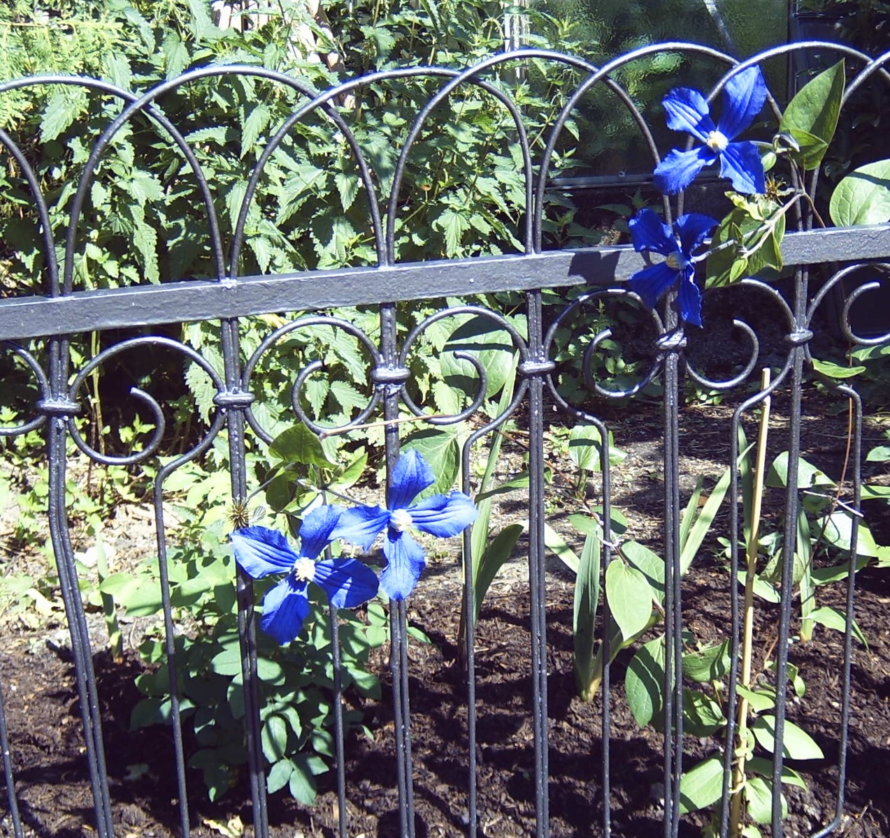 (BLOB)Flatbrush Pro 30 mm-2 (BLOB)Flatbrush Pro 30 mm-2